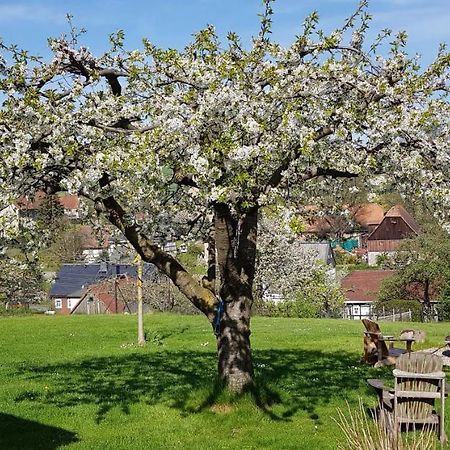 Ferienwohnung Hossies Hof - Elke Bertsdorf Exterior foto